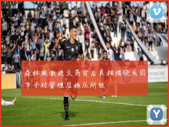 森林狼激进交易背后真相揭晓或因华子对管理层施压所致